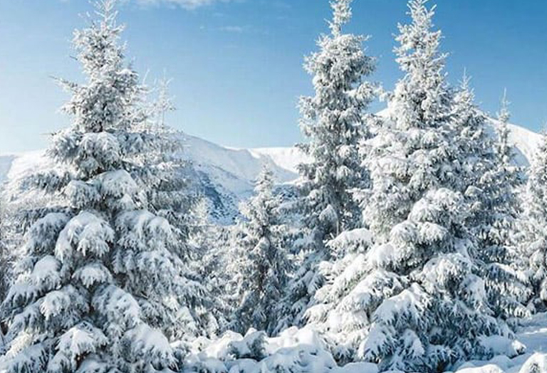 Vacation Rentals callout